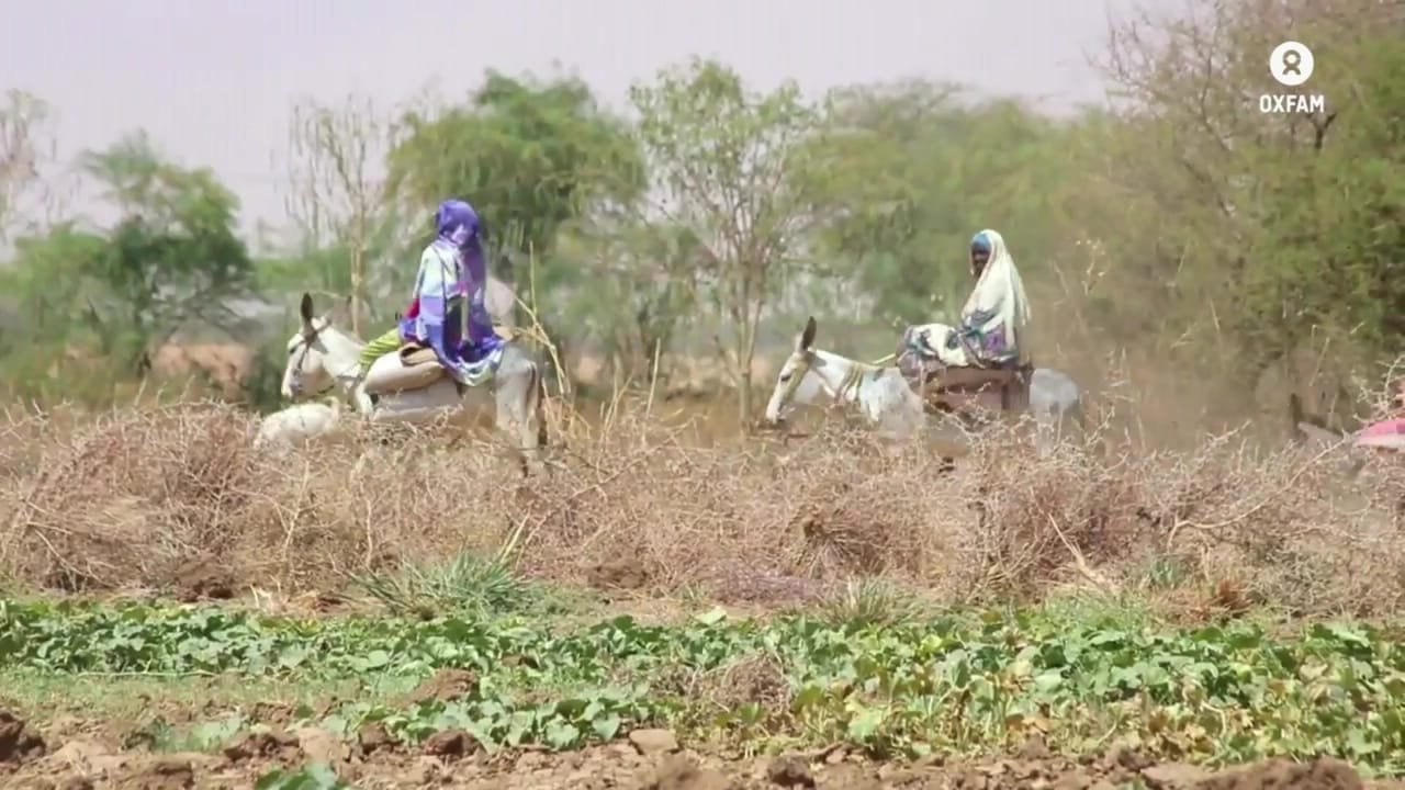 Two women ride donkeys past a green field, trees behind them. A frame from the promo for Oxfam Sudan: Advocacy Program.